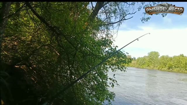 Как поймать карася осенью? ловля крупного карася в ноябре. смотреть онлайн