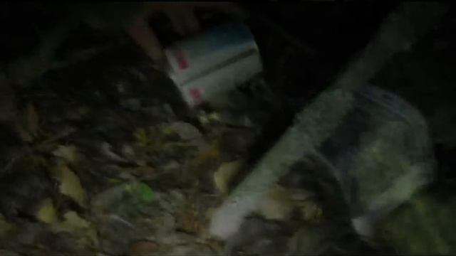 Соревнования разведгрупп в РФ: Днёвка смотреть онлайн