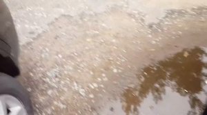 Запуск двигателя после замены на холодную Ford Galaxy 2.0 TDCI