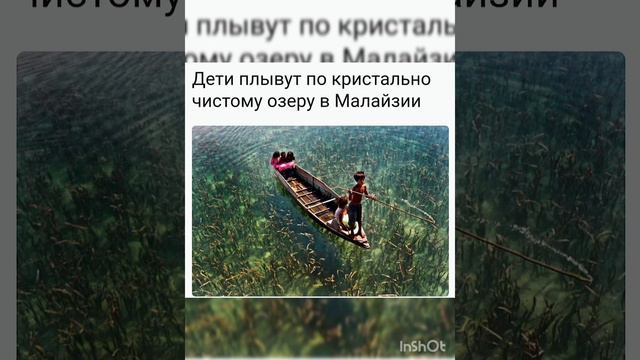 В фокусе. Удивительные природа и животные