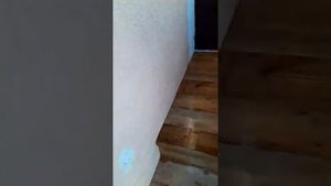 пропитка и обработка крыльца в частном доме