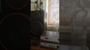 Вега 35ас-105-1 с 10гд-30Е и Technics 8PH63D.Последовательный фильтр.