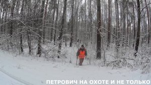 ОХОТА НА КОСУЛЮ. 15.12.18 ВЫХОД КОСУЛИ НА НОМЕР . ЗАКРЫЛИ ЛИЦЕНЗИЮ.