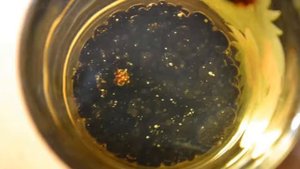 Как приготовить икру из бальзамического уксуса