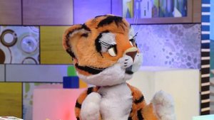 КРЕМЕНЬ или КРЕМНИЙ - Слова-ловушки - С добрым утром, малыши!