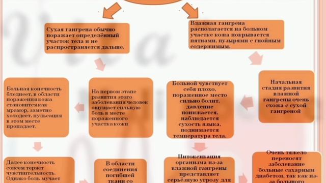 Школа здоровья при нарушении периферического кровообращения. Занятие 4