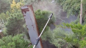 обработали сосну от хермесы