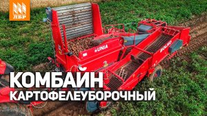 Картофелеуборочный комбайн Bolko в работе