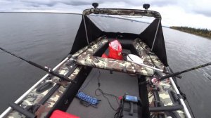 ЛОВОЗЕРО | Трофейная кумжа | Сентябрь 2023