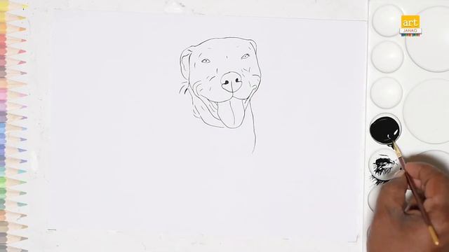 Zoom face Pitbull dog drawing | How to draw A Pitbull | Draw A Dog смотреть онлайн