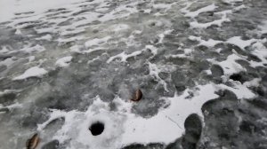 Окунь на каркалыгу  |  Рыбалка от Игоря