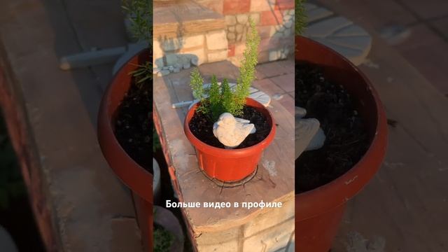 Птичка из бетона своими руками #изцемента #длясада #diy #своимируками