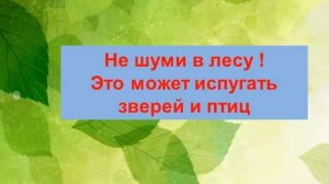 Экологический час «За природу в ответе и взрослые и дети»