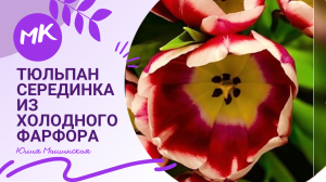 Мк "Тюльпан (серединка)" из холодного фарфора