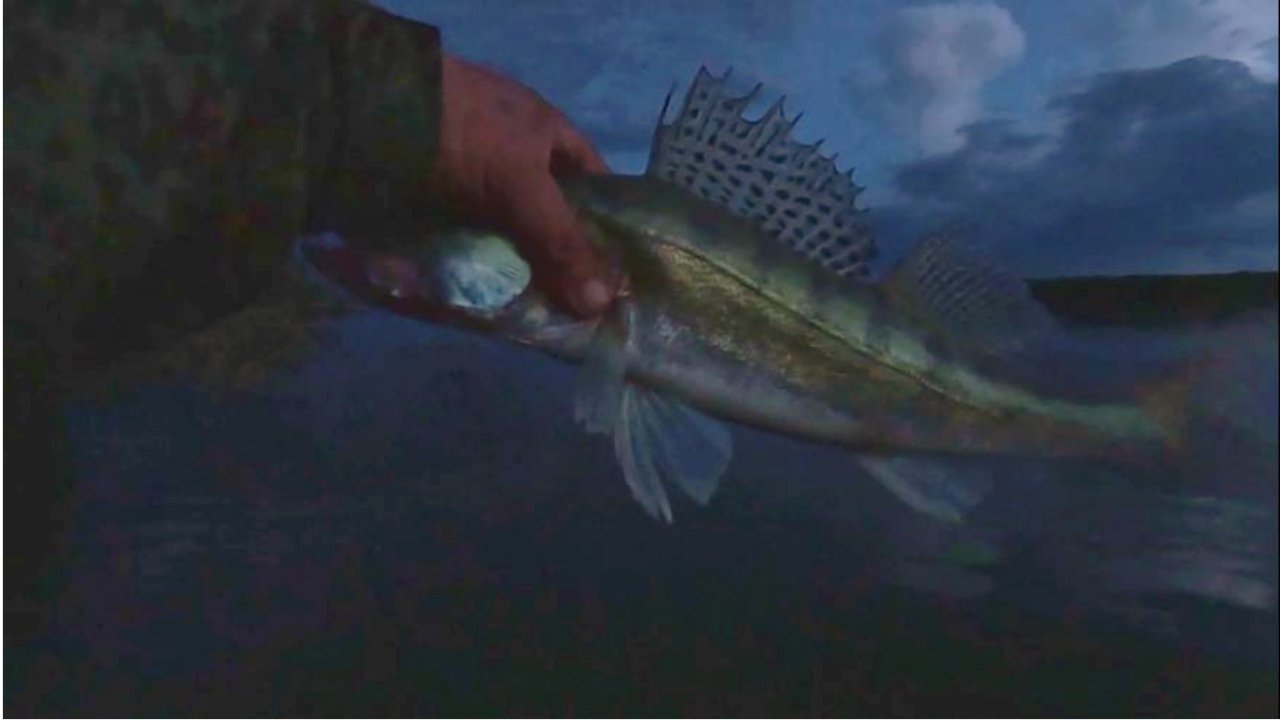 А  МОЖЕТ  НОЧЬЮ ??? Рыбалка на Оби ( Сузун )  3 сентября 2023г.