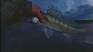 А  МОЖЕТ  НОЧЬЮ ??? Рыбалка на Оби ( Сузун )  3 сентября 2023г.