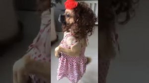 Смешные собаки
