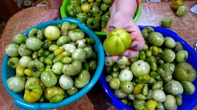 Салат из зелёных томатов смотреть онлайн