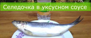 Селёдочка в уксусном соусе. Домашний рецепт !!!