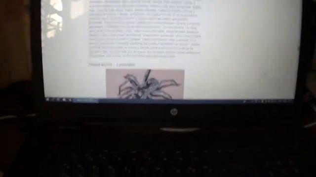 Паук наступает. Очень опасные пауки, в которым я встречала летом. Паук Крестовик и паук оса. смотреть онлайн