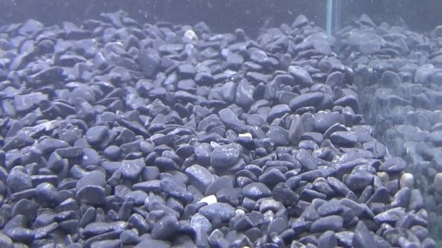 Натуральный черный грунт-Superior смотреть онлайн