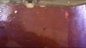 Замена антифриза на Yamaha YZF R1 1998-1999 г. Заливайте приблизительно 2.7 - 2.8 л #Coolant Change#