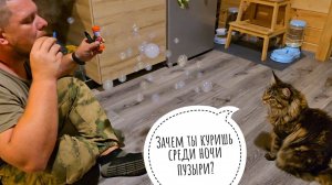 Очень важные дела за день: игрушку Псу Кубику дать, лося показать, сову покормить, пузыри кошке дуть