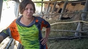 Загон для вислобрюхих свинок