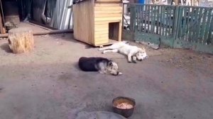 Производство гробов , Гробы Изумруд , Гробы оптом .