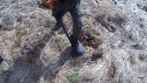 Металлокоп на заброшенной военной части!