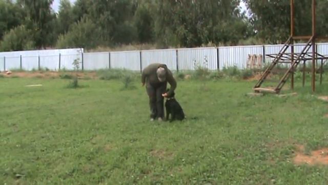 ДЦ *ZооИмперия* г.Ярославль