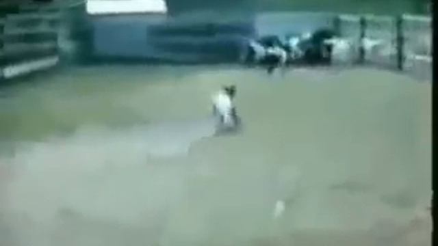 козы которые боятся всего!!!))))))))))) смотреть онлайн