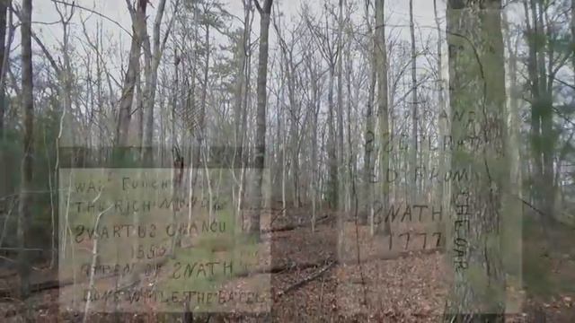 TREASURE: Upshur County Treasures смотреть онлайн