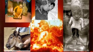 "Невада-Семей" қозғалысына 30 жыл. Онлайн сабақ