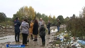Мусорный полигон отравляет жизнь жителям Пошехонья