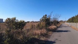 Япония Деревенская жизнь - Как живут японцы и почему так мало людей