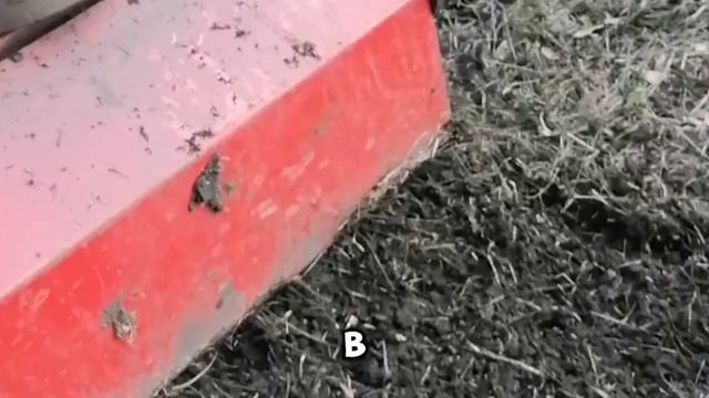 Обработка почвы для посева люцерны с мотоблоком Агро и посев люцерны с сеялкой Пахарь в августе.