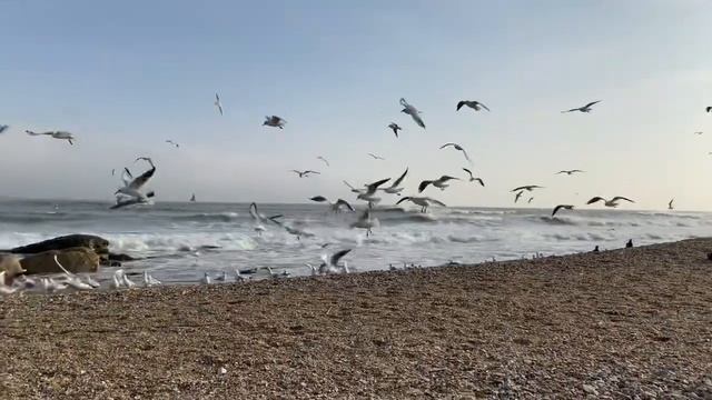 Дагестан/ Махачкала/ Каспийское море/ Прогулка у моря ?