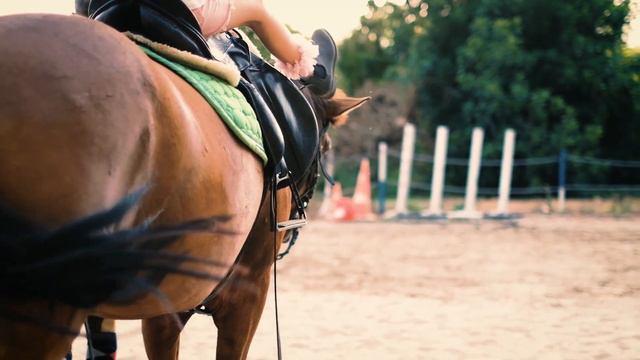 Riding School (Школа верховой езды). Обзор, развлечение в Алании, Турция.