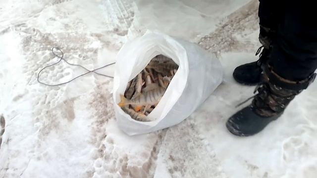 КВХ СовХакасия Зимняя рыбалка. смотреть онлайн