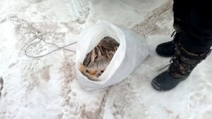 КВХ СовХакасия Зимняя рыбалка.