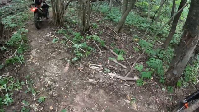 Дерево упало прямо на человека во время соревнований. смотреть онлайн