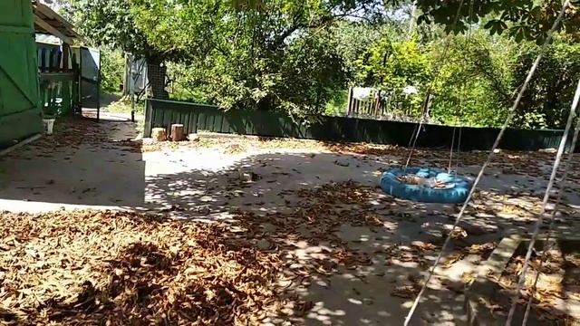 30 серпня 2022 г. Готую розсаду полуниці.Все спочатку! смотреть онлайн