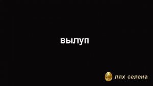 развитие цыпленка в яйце по дням