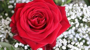 Natalia La Multi Ani!!!