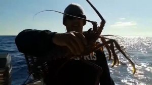 Fishing Perth WA Baldchin Groper and Jumbo Western Rock Lobster