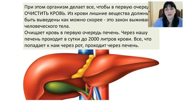 Презентация Детокса смотреть онлайн