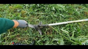 Kosa stihl fs 491 c / koszenie ogromnej trawy!!