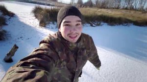 Коньки и котики