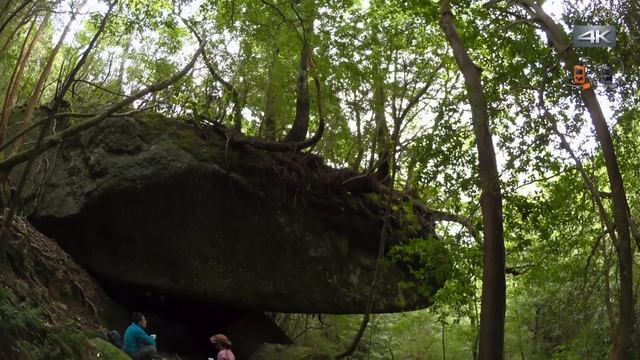 Panasonic 4K Videokamera HX-A500 - Hiking in the park смотреть онлайн